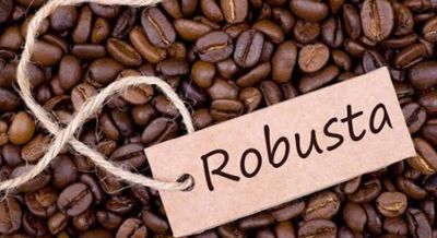 Cà phê robusta